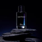 Perfume-Hombre-Dior-Dior-Sauvage-EDT-100ml-5.jpg