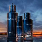 Perfume-Hombre-Dior-Dior-Sauvage-EDT-100ml-6.jpg