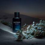 Perfume-Hombre-Dior-Dior-Sauvage-EDP-100ml-2.jpg
