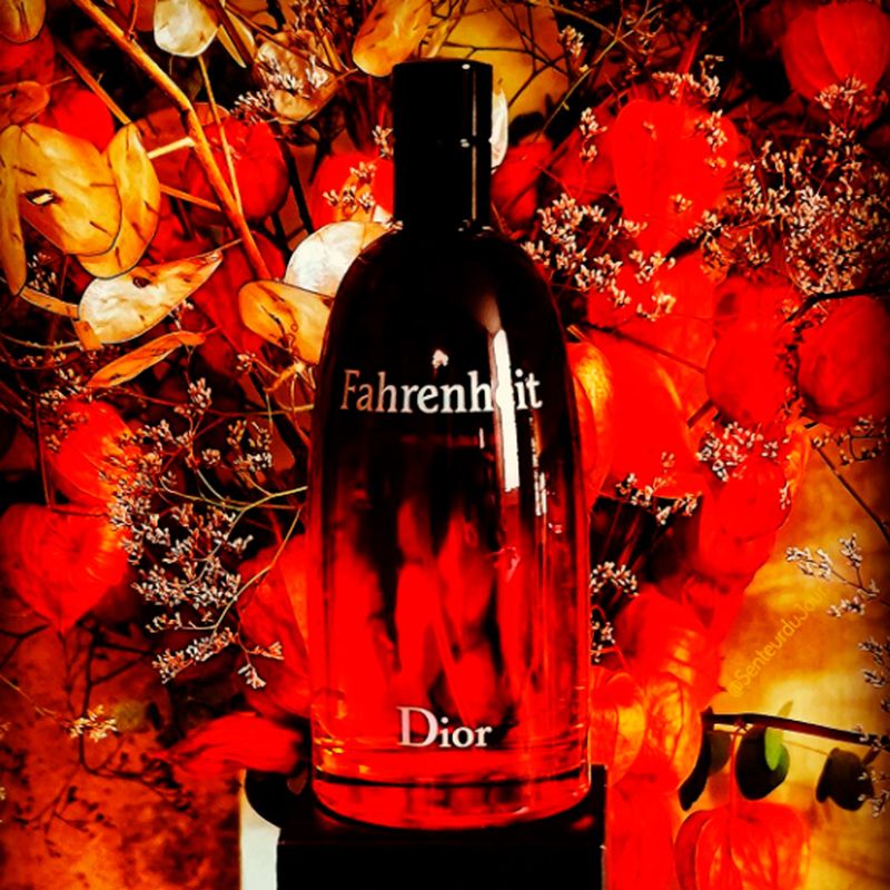 Perfume-Hombre-Dior-Dior-Fahrenheit-100ml-5.jpg