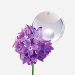 Perfume-Mujer-Issey-Miyake-A-Drop-Dissey-30ml-2.jpg