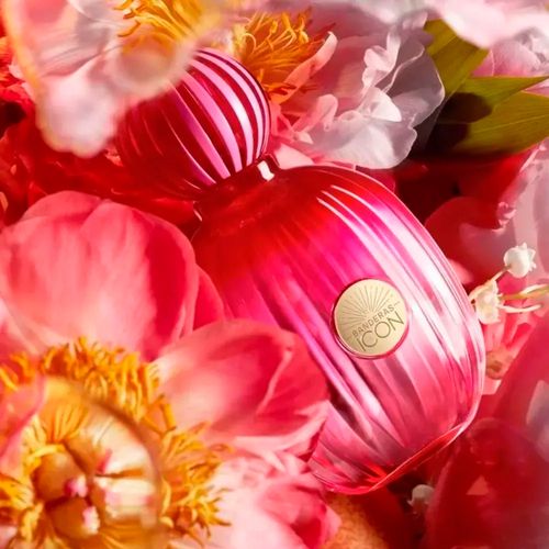 Perfume Mujer Antonio Banderas The Icon EDP