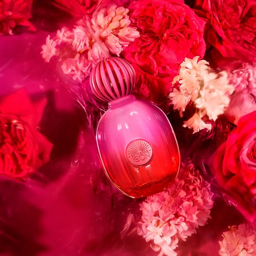 Perfume Mujer Antonio Banderas The Icon Supreme