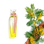 Perfume-Mujer-Adolfo-Dominguez-Agua-Fresca-Mimosa-Coriandro-120ml-2.jpg