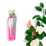 Perfume-Mujer-Adolfo-Dominguez-Agua-Fresca-Gardenia-Musk-120ml-2.jpg