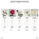 Perfume-Mujer-Adolfo-Dominguez-Agua-Fresca-Gardenia-Musk-120ml-4.jpg