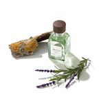 Perfume-Hombre-Adolfo-Dominguez-Agua-Fresca-120ml-2.jpg