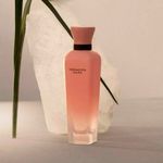 Perfume-Mujer-Adolfo-Dominguez-Terracota-Musk-120ml-2.jpg