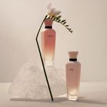 Perfume-Mujer-Adolfo-Dominguez-Terracota-Musk-120ml-3.jpg