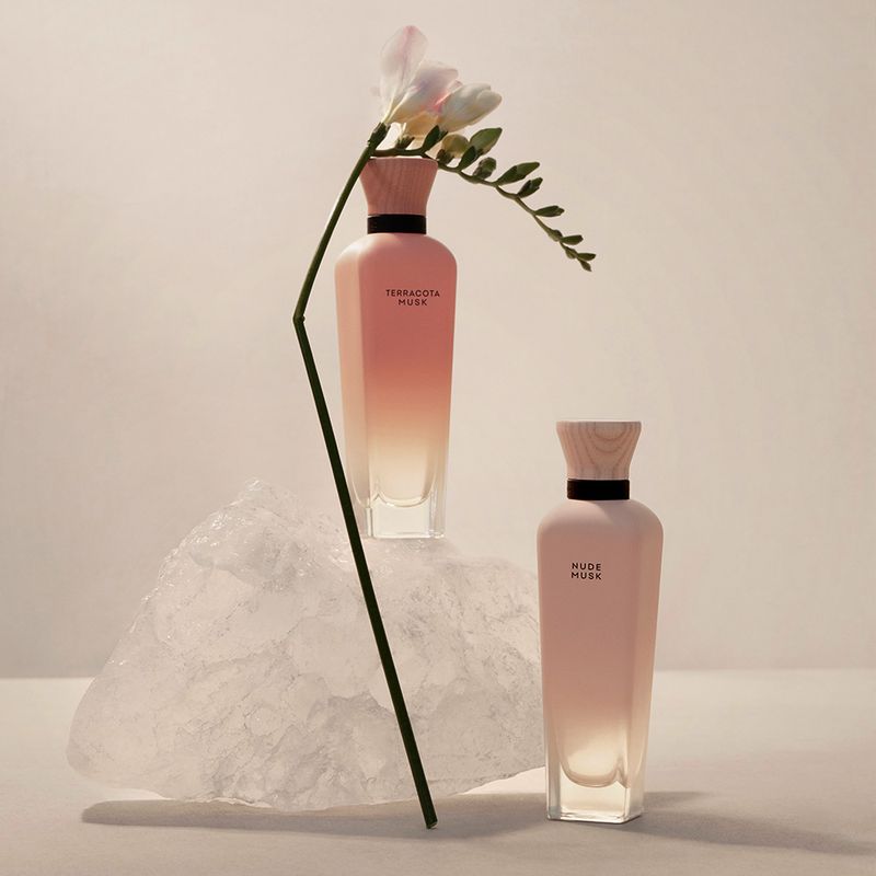 Perfume-Mujer-Adolfo-Dominguez-Terracota-Musk-120ml-3.jpg