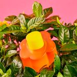 Perfume-Mujer-Agatha-Ruiz-de-la-Prada-Flor-EDT-6.jpg