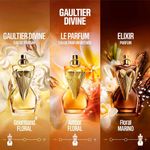 171038000.1Perfume-Mujer-Jean-Paul-Gaultier-Divine-Elixir-Parfum-100ml-5